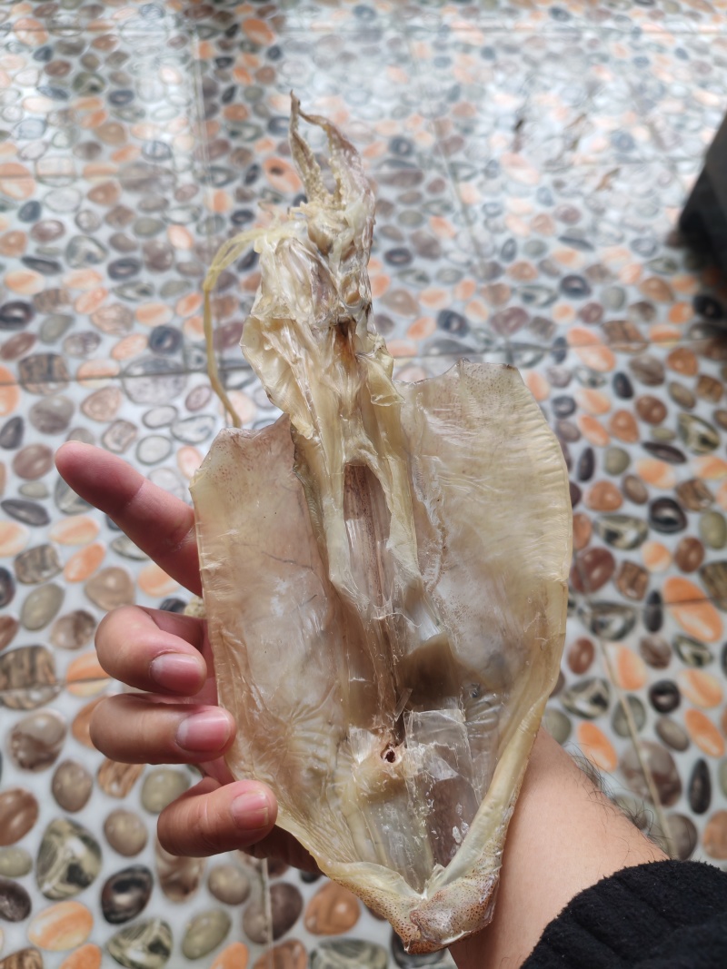 北海鱿鱼干，船晒穿孔鱿鱼干，一斤8条左右。