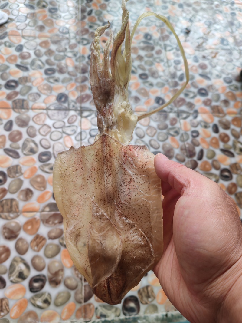北海鱿鱼干，船晒穿孔鱿鱼干，一斤8条左右。
