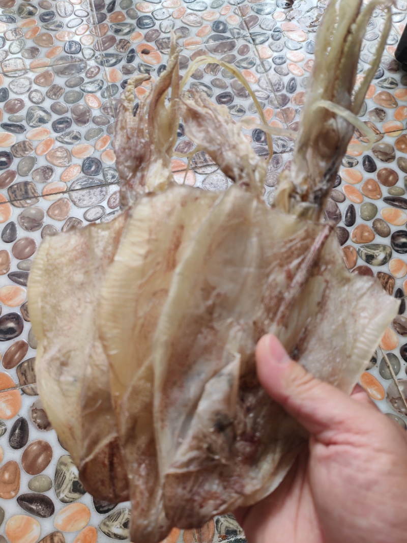 北海鱿鱼干，船晒穿孔鱿鱼干，一斤8条左右。