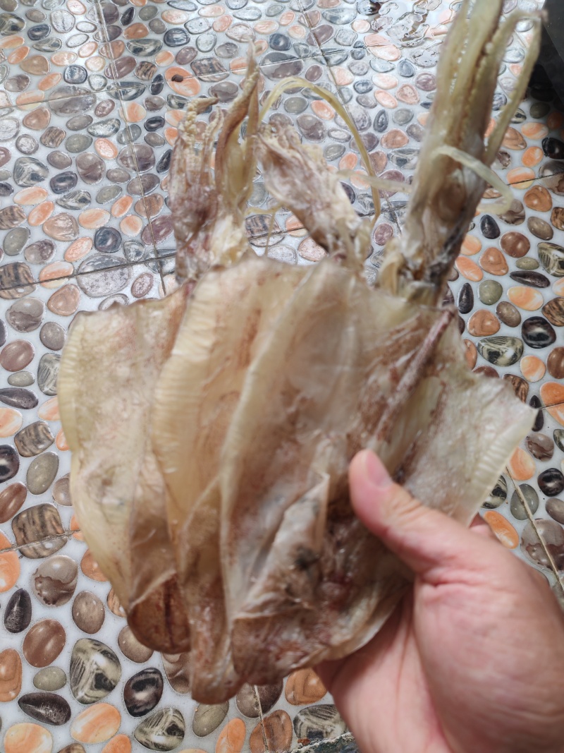北海鱿鱼干，船晒穿孔鱿鱼干，一斤8条左右。