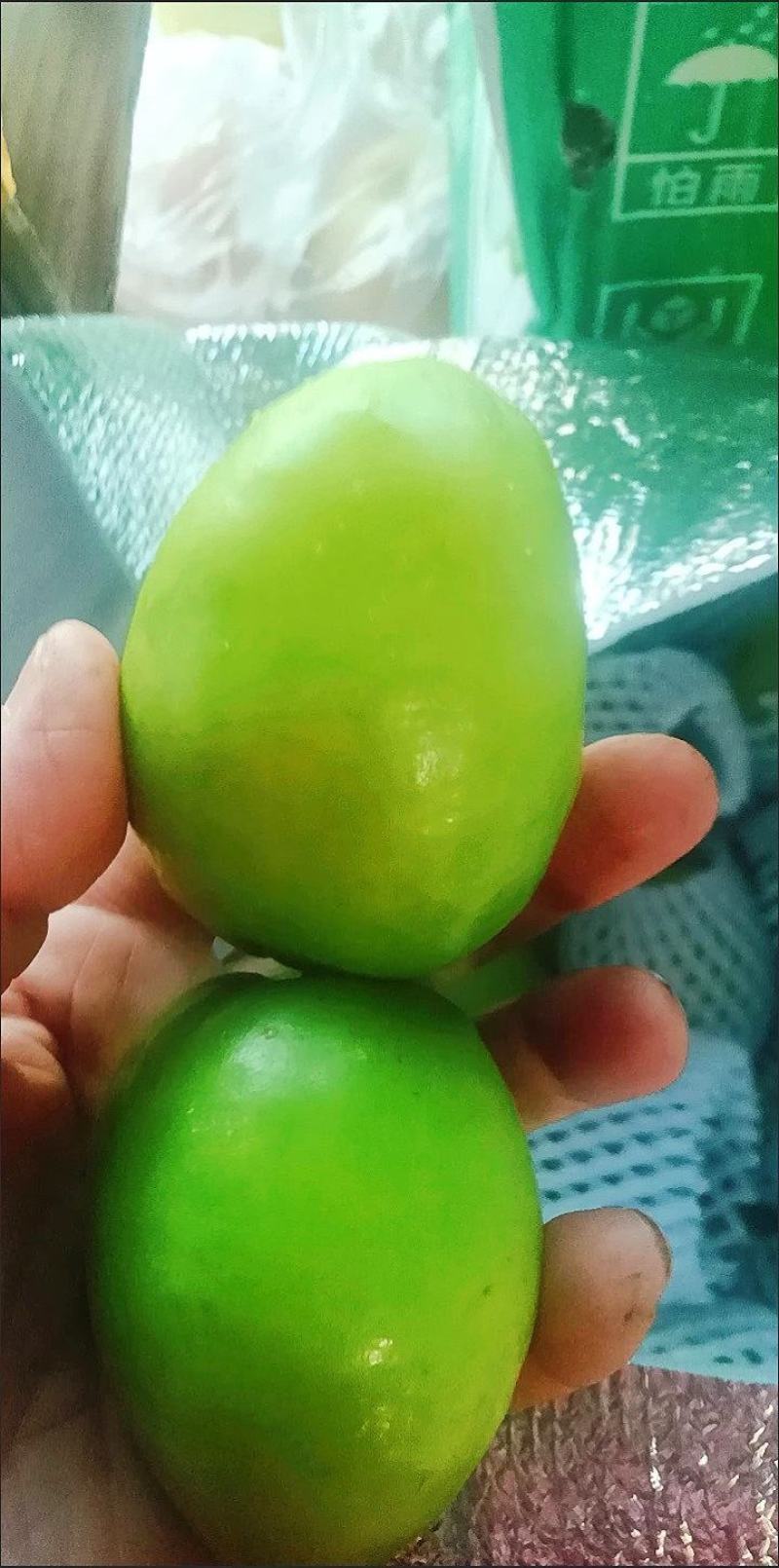 新鲜青枣，现摘牛奶枣大青枣水果包邮新鲜贵妃枣，包邮到家！