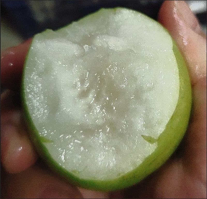 新鲜青枣，现摘牛奶枣大青枣水果包邮新鲜贵妃枣，包邮到家！