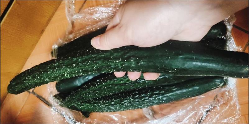 黄瓜，应季新鲜黄瓜现摘农家自种蔬菜青瓜带刺长脆嫩小黄瓜当