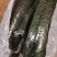 黄瓜，应季新鲜黄瓜现摘农家自种蔬菜青瓜带刺长脆嫩小黄瓜当