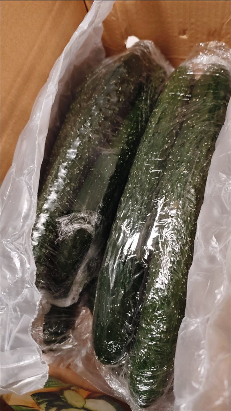 黄瓜，应季新鲜黄瓜现摘农家自种蔬菜青瓜带刺长脆嫩小黄瓜当