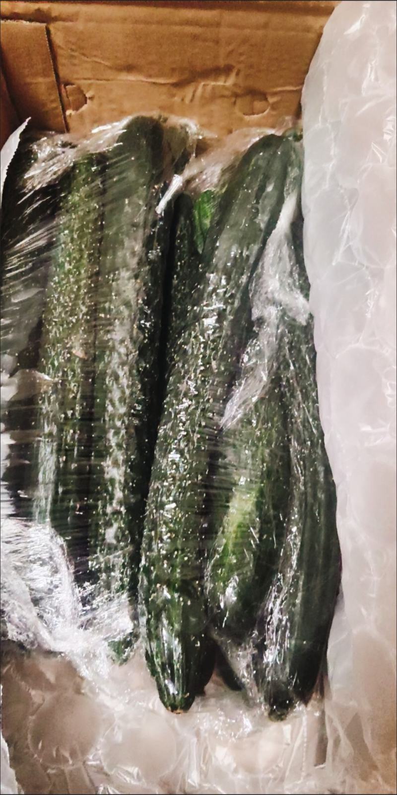 黄瓜，应季新鲜黄瓜现摘农家自种蔬菜青瓜带刺长脆嫩小黄瓜当