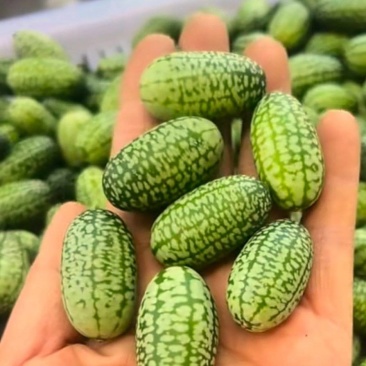 种植户直销