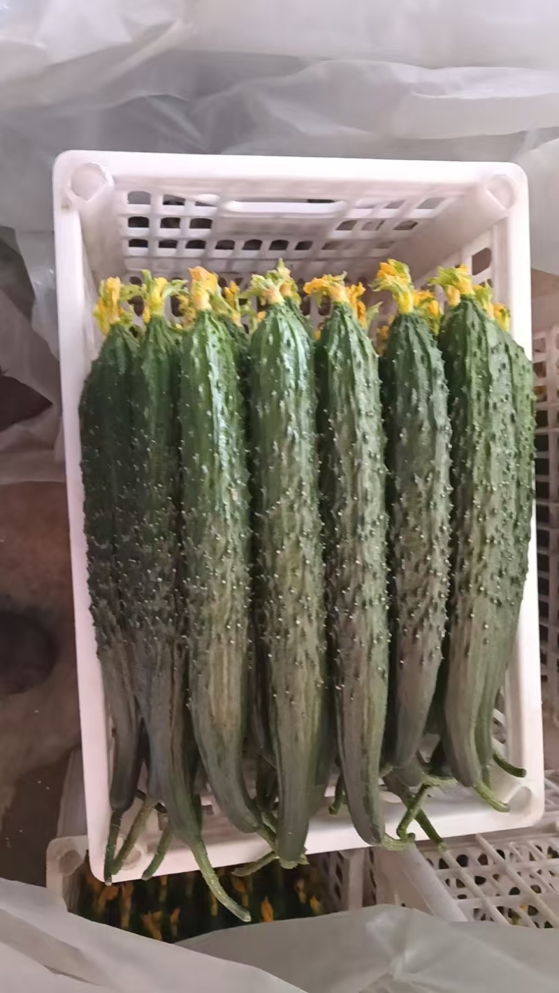 绿瓤黄瓜，货品齐全，质量保证，脆甜可口，