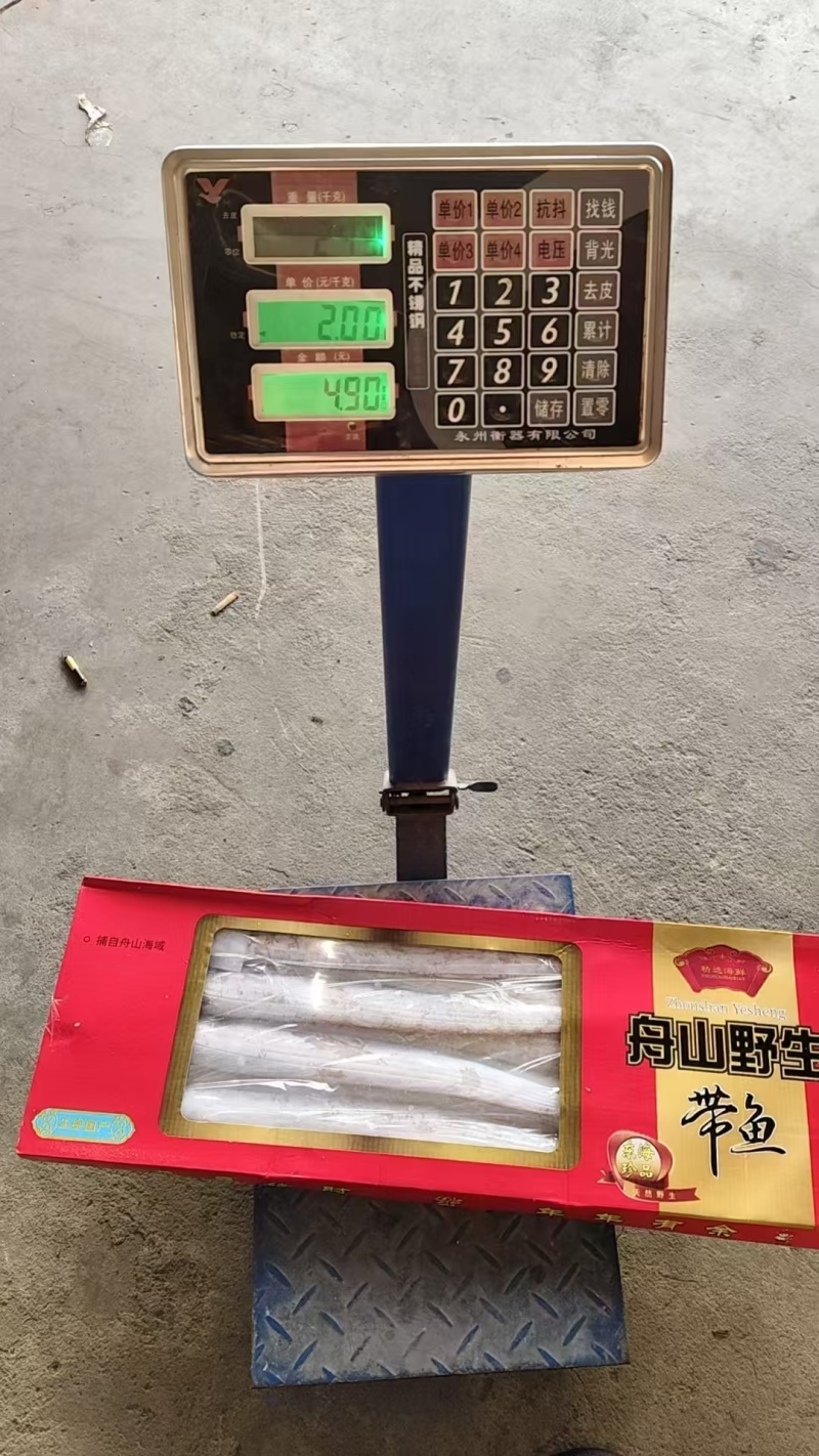 舟山带鱼一手货源全国各地发均可直达