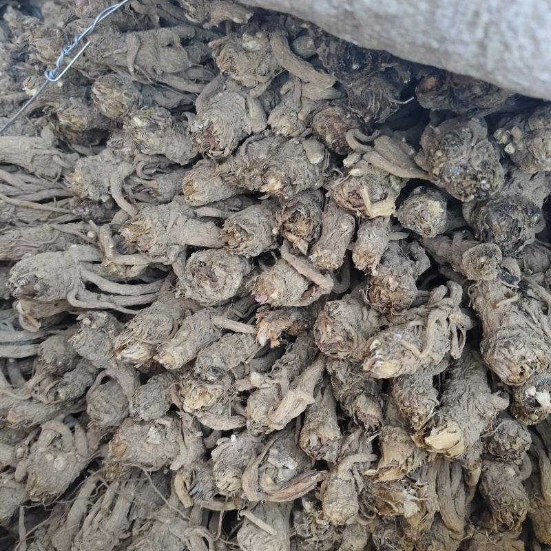 甘肃定西岷县当归无硫新货干货整只当归干净无杂质整颗
