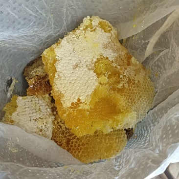 贵州土蜂蜜