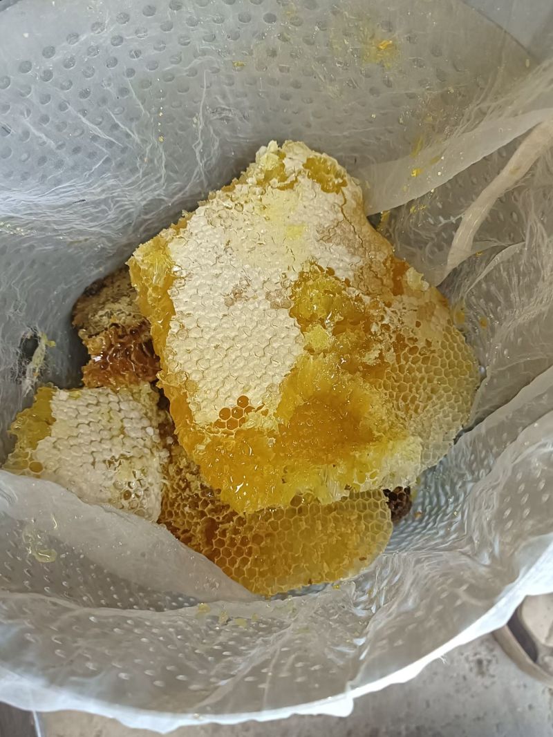 贵州土蜂蜜