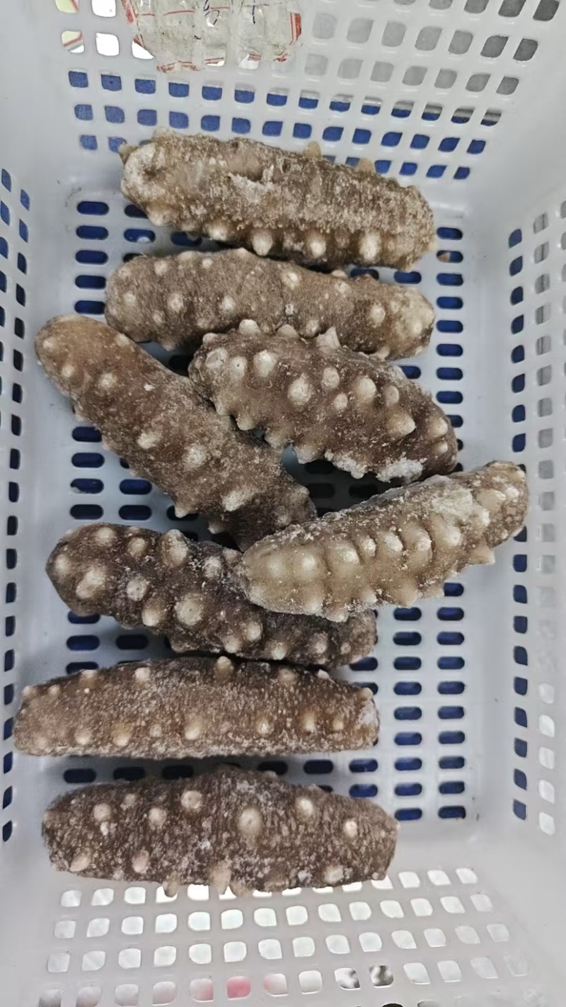 即食海参礼盒装公司年货水产生鲜礼盒支持定制批发贴牌生产