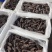 即食海参礼盒装公司年货水产生鲜礼盒支持定制批发贴牌生产