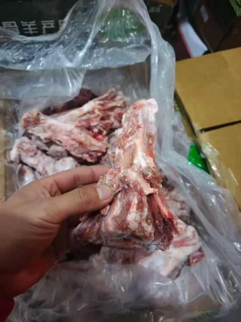 羊尾骨