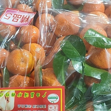 精品