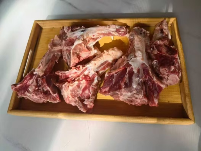 内蒙羊蝎子