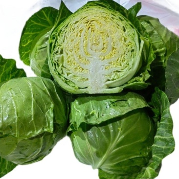 甘蓝圆白菜