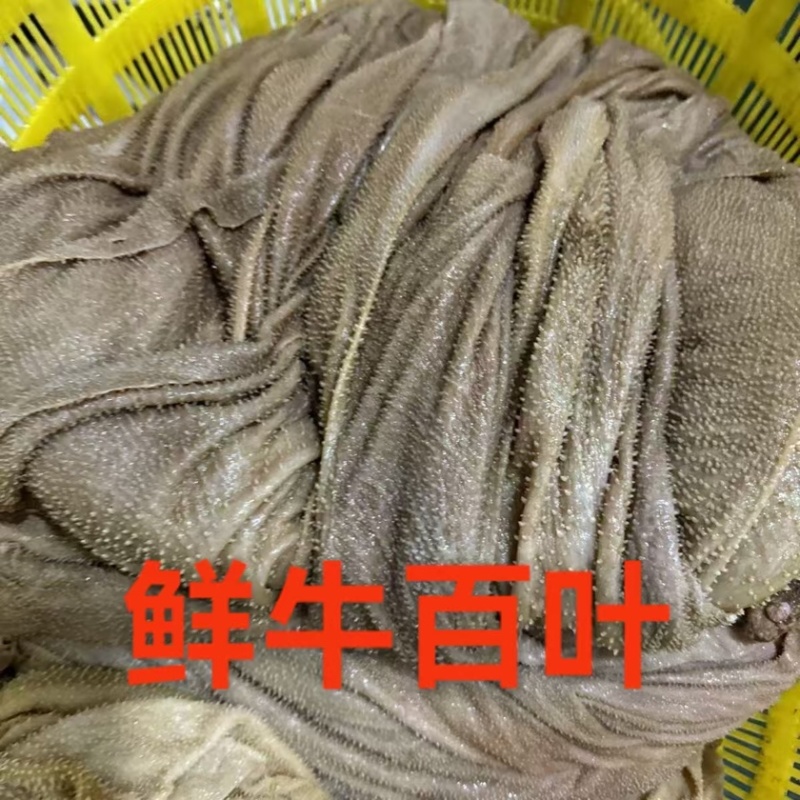 牛百叶，草地黄牛鲜干冻百叶，保不掉毛，本地冷库直发，