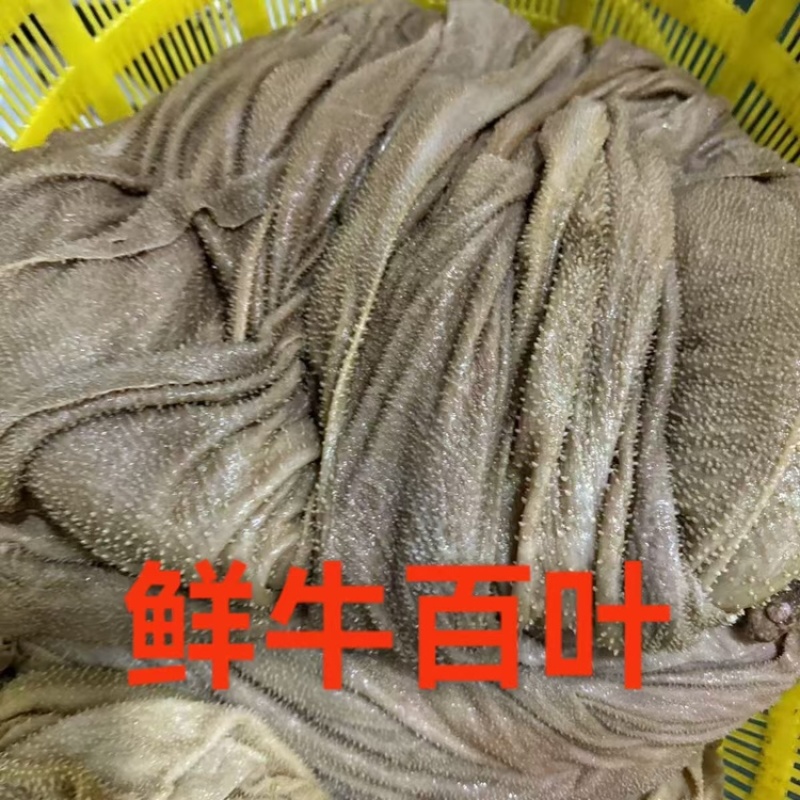 牛百叶，草地黄牛鲜干冻百叶，保不掉毛，本地冷库直发，