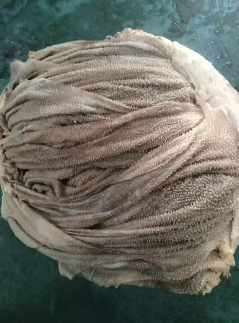 牛百叶，草地黄牛鲜干冻百叶，保不掉毛，本地冷库直发，