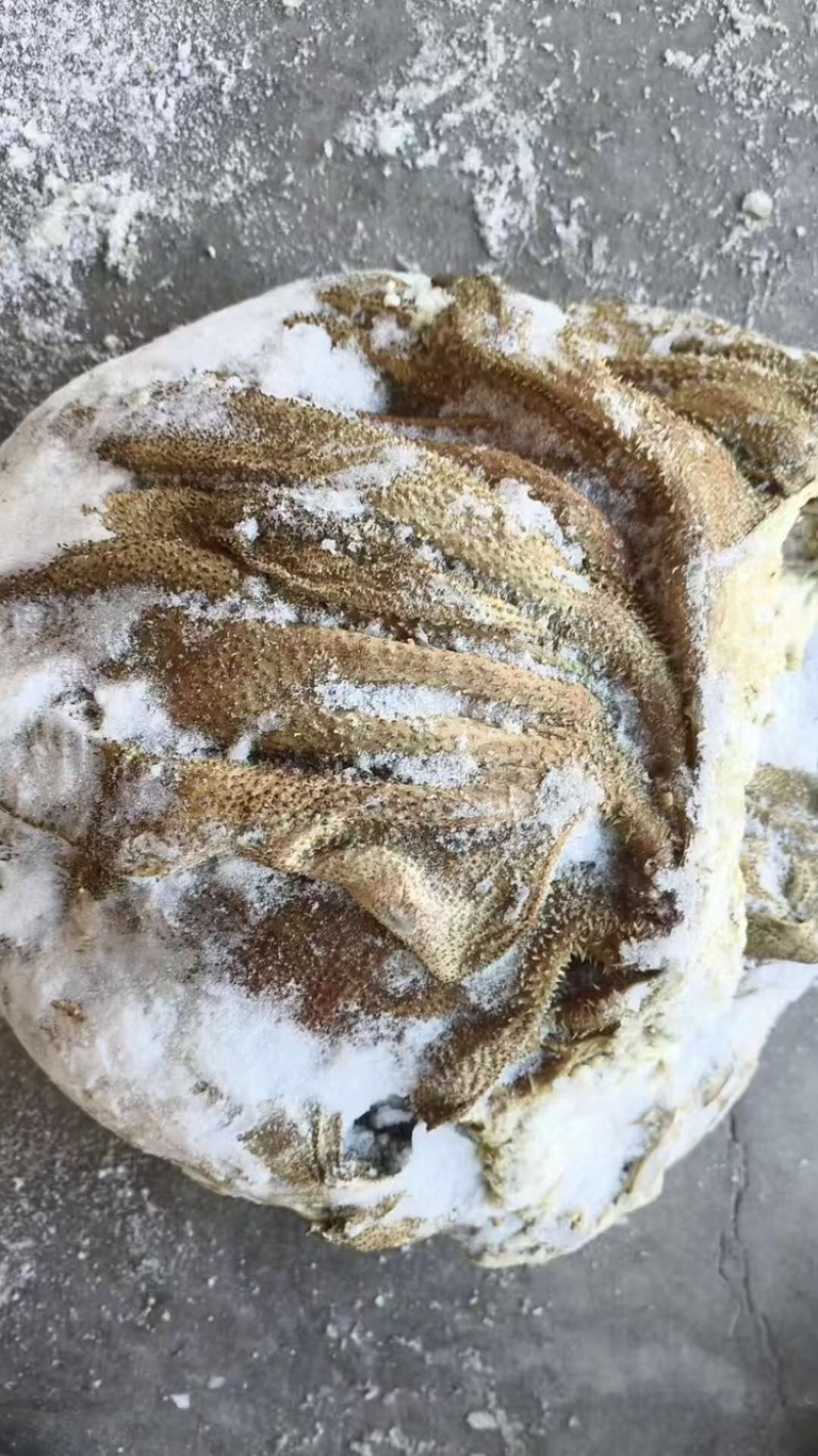 牛百叶，草地黄牛鲜干冻百叶，保不掉毛，本地冷库直发，
