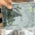 纯野生荠荠菜