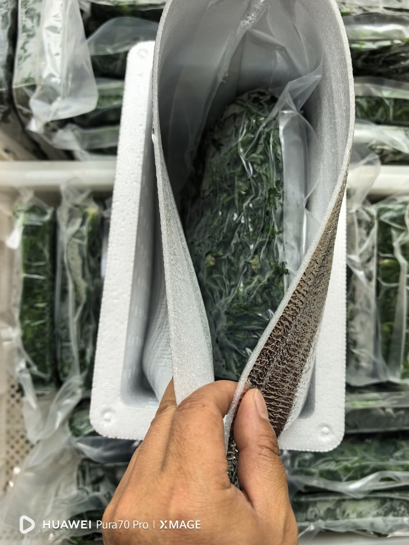 纯野生荠荠菜
