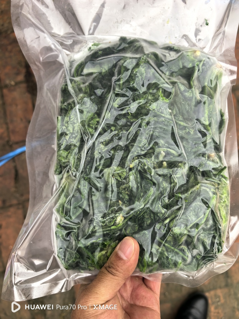 纯野生荠荠菜
