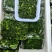 纯野生荠荠菜