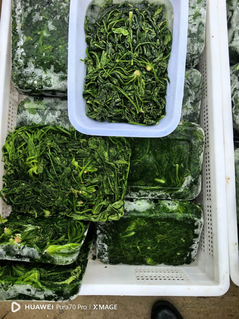 纯野生荠荠菜