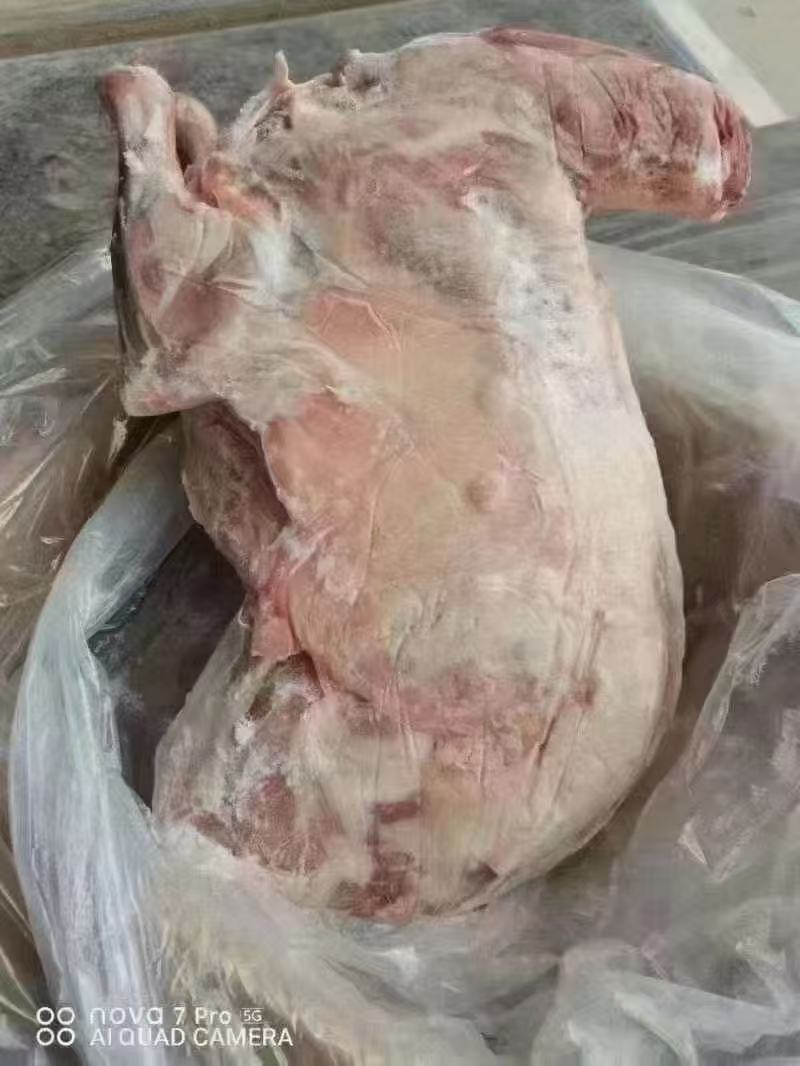卧式全羊