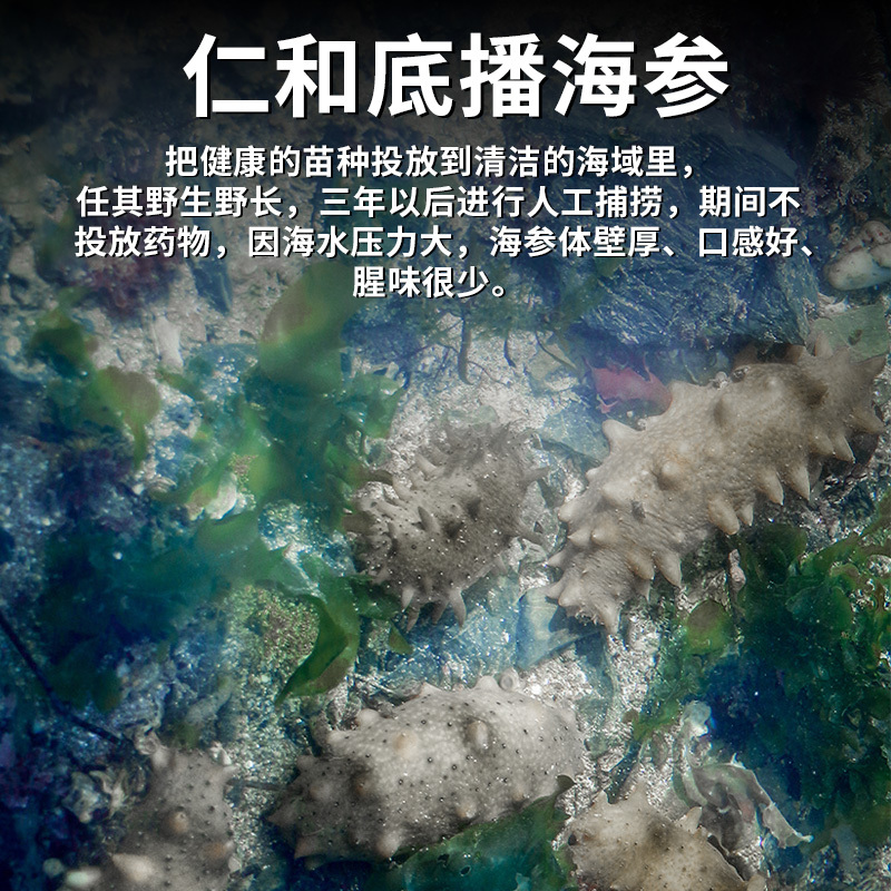 仁和御膳即食海参，通过116项检测，顺丰发货