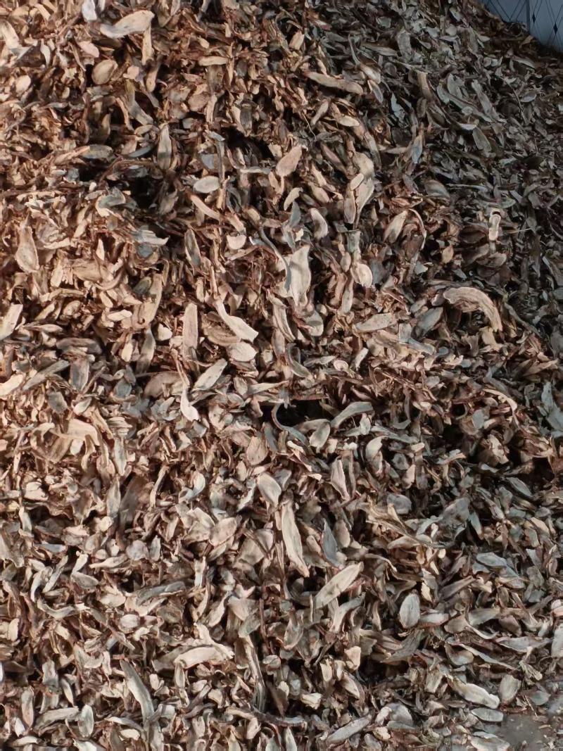 白蔹水洗无硫切片