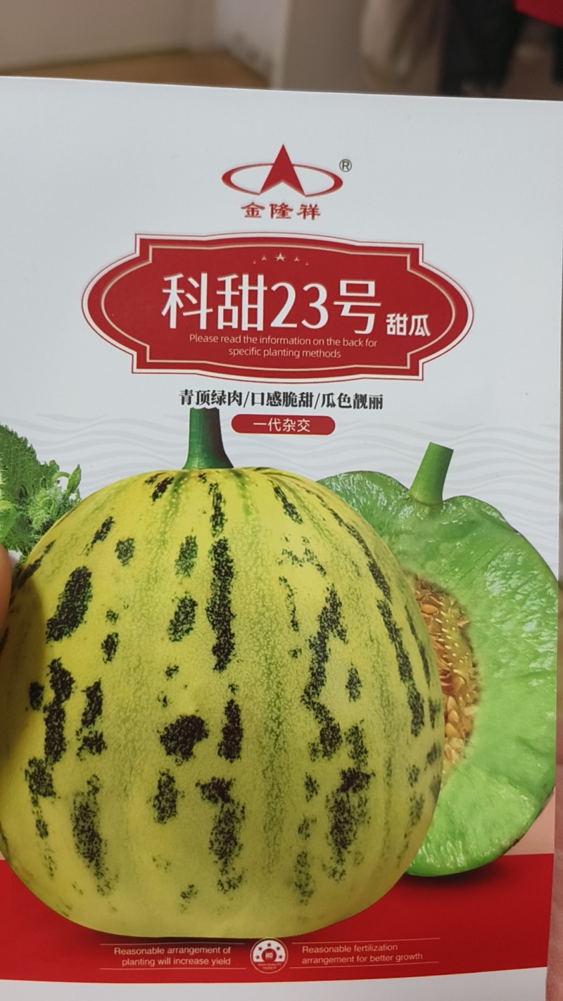 科甜23号高糖大果八里香甜瓜种子一代杂交香瓜种子香味浓糖