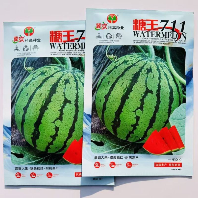 糖王711杂交一代中型有籽西瓜种子高圆大果近球形绿皮红瓤