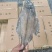 鲽鱼身，去头去尾鲽鱼，鲽鱼身三去，鲽鱼，三去鲽鱼
