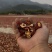 沂蒙山手切山楂干日晒******中药山楂干