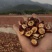 沂蒙山手切山楂干日晒******中药山楂干