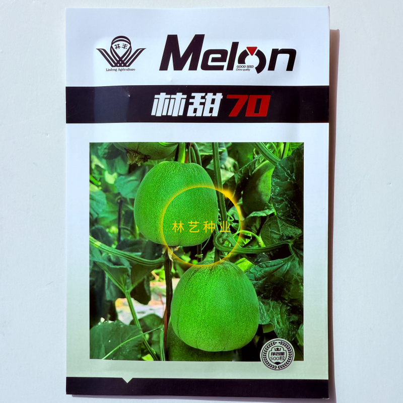 林丰70绿肉甜瓜种子高糖抗病皮色深绿甜瓜种子籽早熟甜脆绿