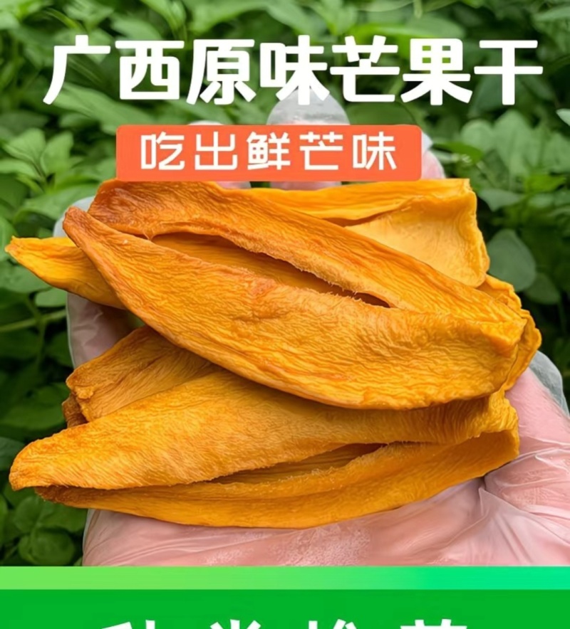 广西原味金煌芒芒果干
