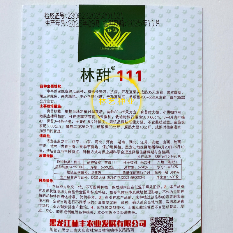 林丰111杂交绿肉甜瓜种子高糖抗病皮色深绿甜瓜种籽