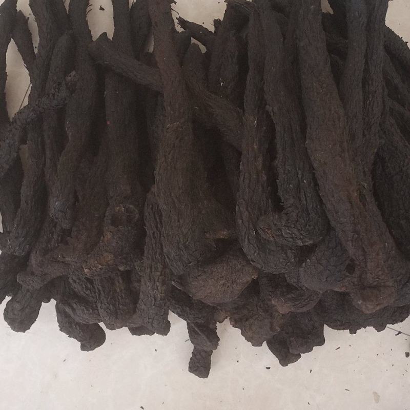 肉苁蓉