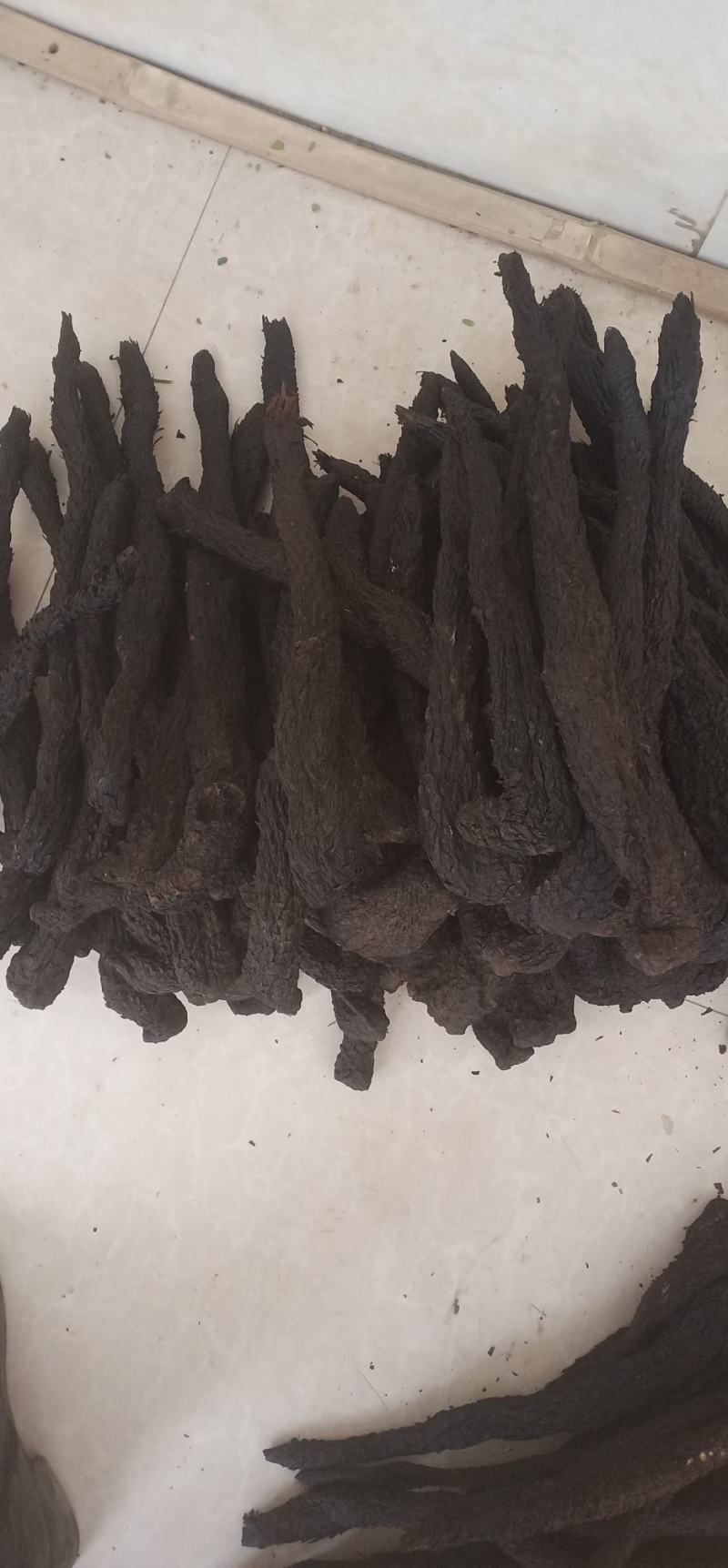 肉苁蓉