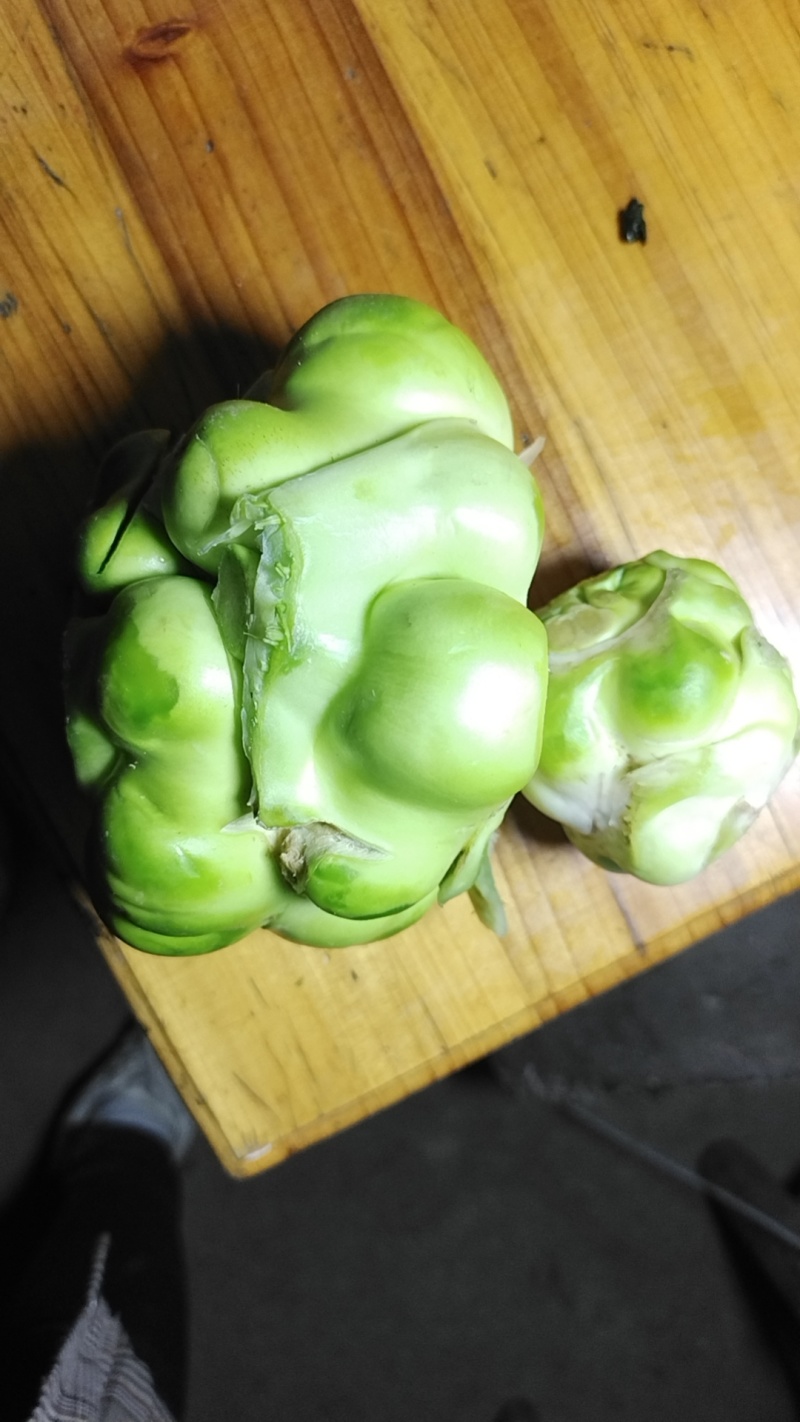 榨菜头