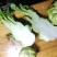 榨菜头