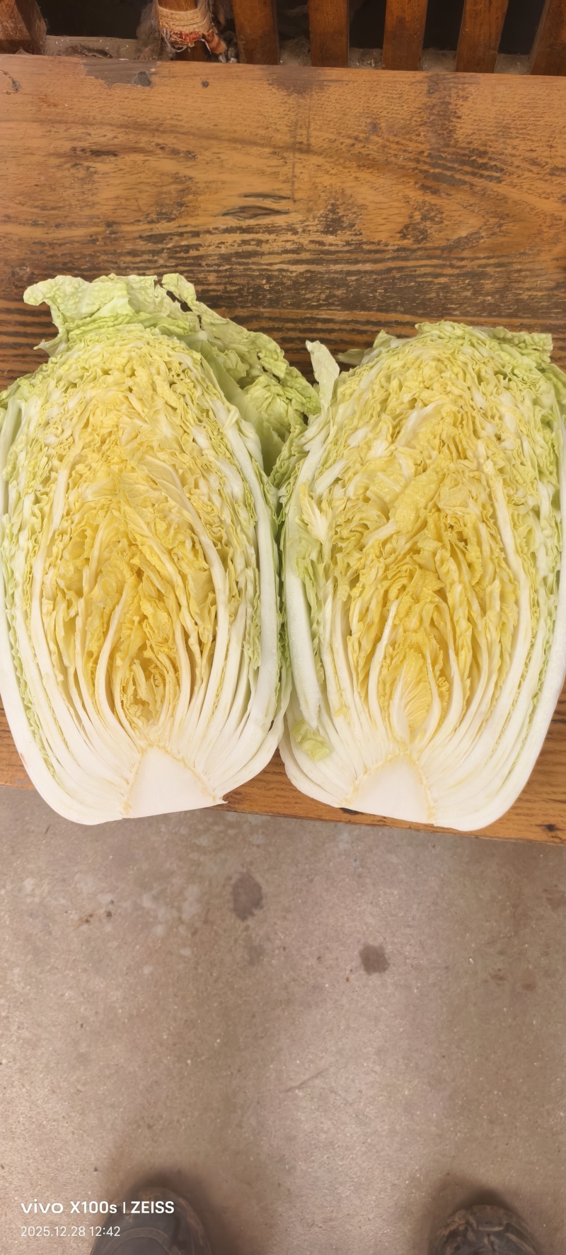 大白菜大量上市，质量好，大小棵均匀价格便宜全国代发
