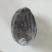 鲍鱼，原只鲍鱼，带脏原只鲍鱼，全只鲍鱼，带脏带壳鲍鱼