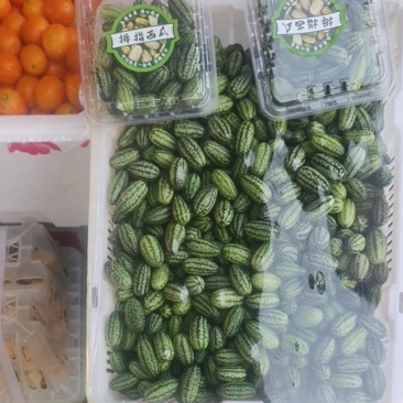 拇指西瓜大量有货