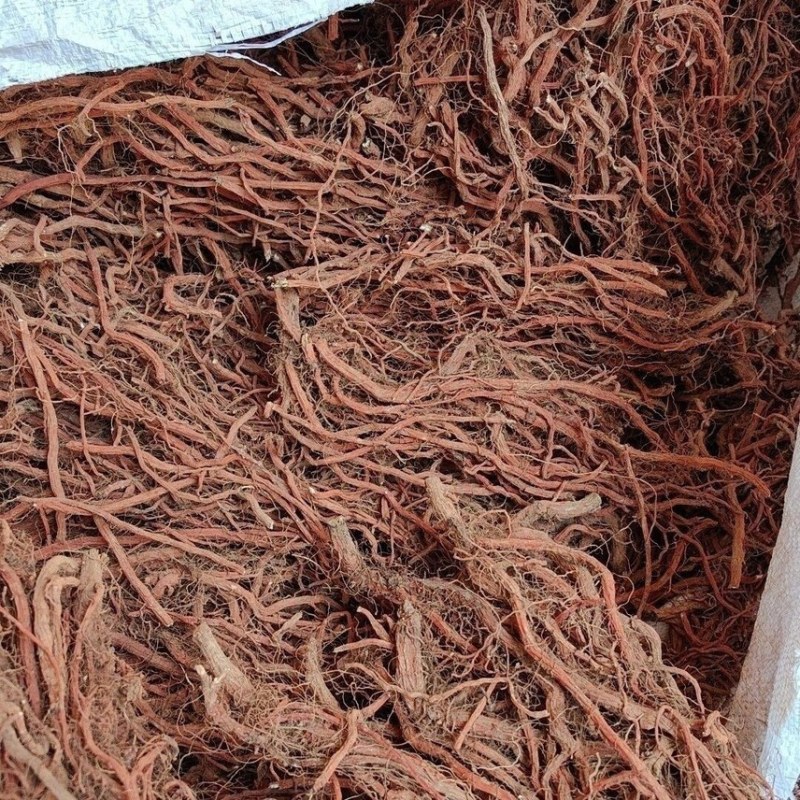 正宗平邑紫花丹参干整根晒制产地直供